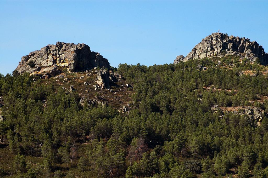 Casa Dos Lagares De Vara E Pedra Вила-Флор Экстерьер фото
